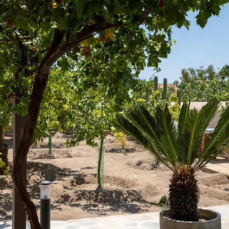 Διαμέρισμα Cactus Αίγινα